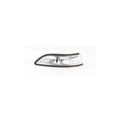 Фонарь указателя поворота в зеркало - r 169-245 2004-2008 BSG BSG 60-916-004