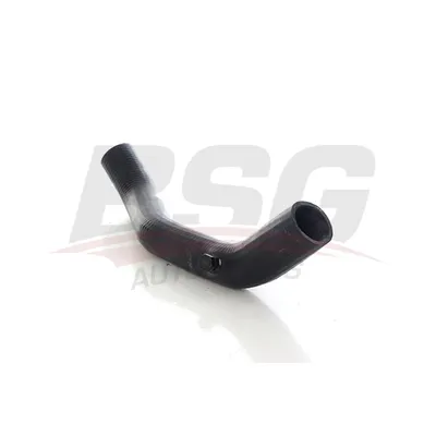 Шланг радиатора R9 81- BSG BSG 75-720-126
