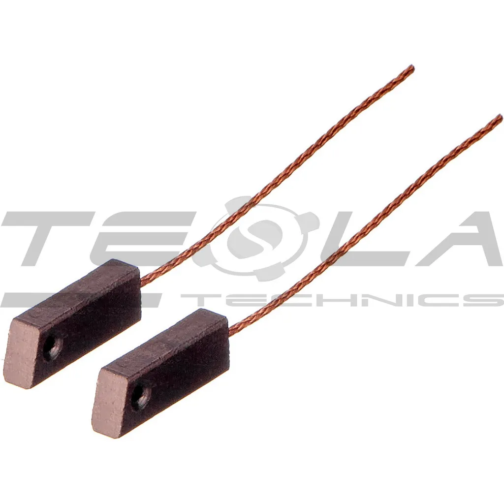 Щетки 2 шт. в комплекте TESLA TECHNICS TT53299