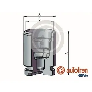 Поршень Суппорта SEINSA D025637