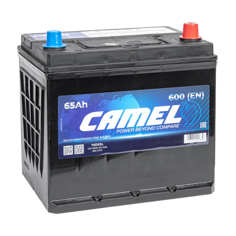Аккумулятор CAMEL ASIA 65 А/ч Обратная R+ 229x175x223 EN600 A