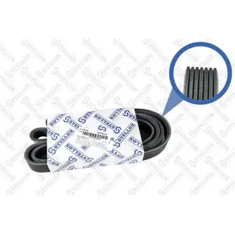 Ремень поликлиновый 7PK1749 DAF, Honda Accord 2.4 03> STELLOX 07-01749-SX