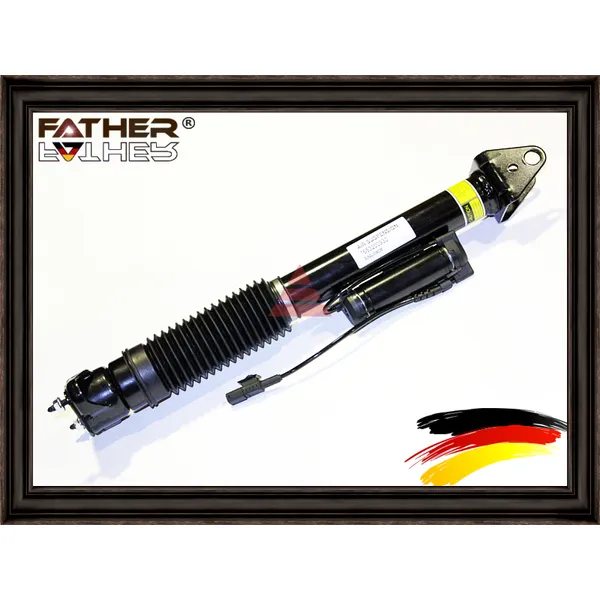 Амортизатор задний c ads FATHER F941R79