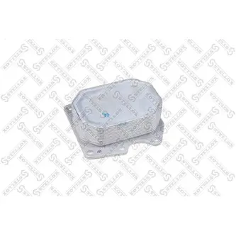 Радиатор масляный Ford Transit 2.2TDCI 06> STELLOX 10-73016-SX