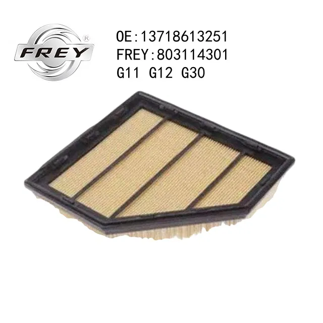 Фильтр воздушный BMW X5 (F15), FREY 803114301