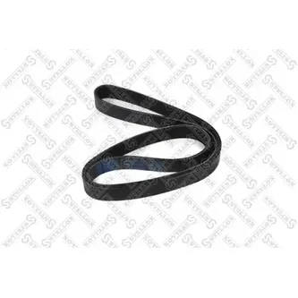 Ремень поликлиновый 8PK1460 DAF STELLOX 08-01460-SX