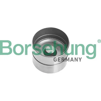 Гидрокомпенсатор BORSEHUNG B18836