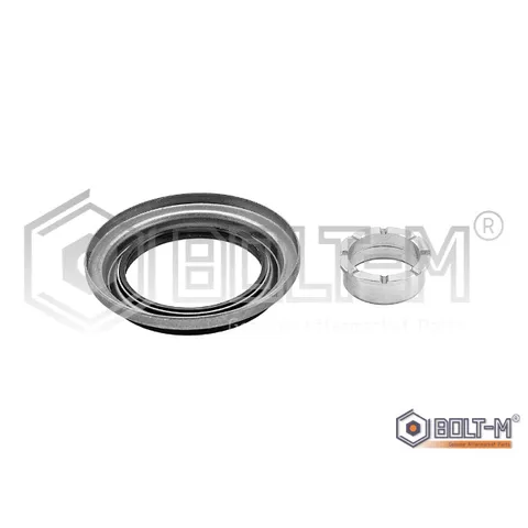 Ремкомплект сальников поворотного кулака BOLT-M BM6570