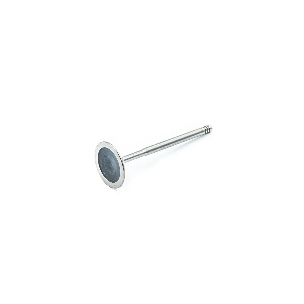 Клапан впускной 35x6x100 bmw e60 4.4 n62b44 01 BMW AE V94957-1