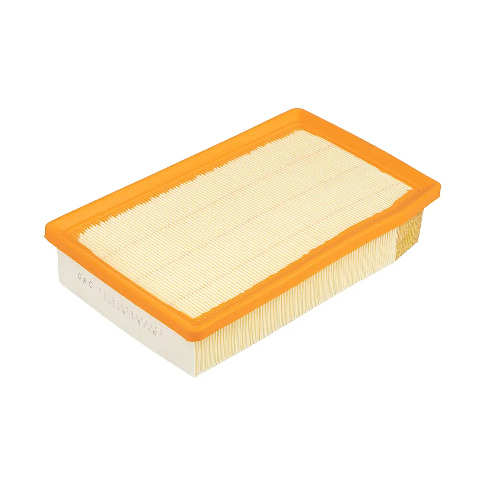 Воздушный фильтр в сборе (GS3) GAC 2010005BSV0000