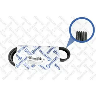 Ремень поликлиновой 5PK868Ford Focus II 5PK868 ELAST STELLOX 0500868_SX