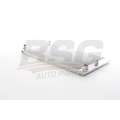 Радиатор охлаждения двигателя E60-E61-E63-E64 03-10 BSG BSG 15-520-033