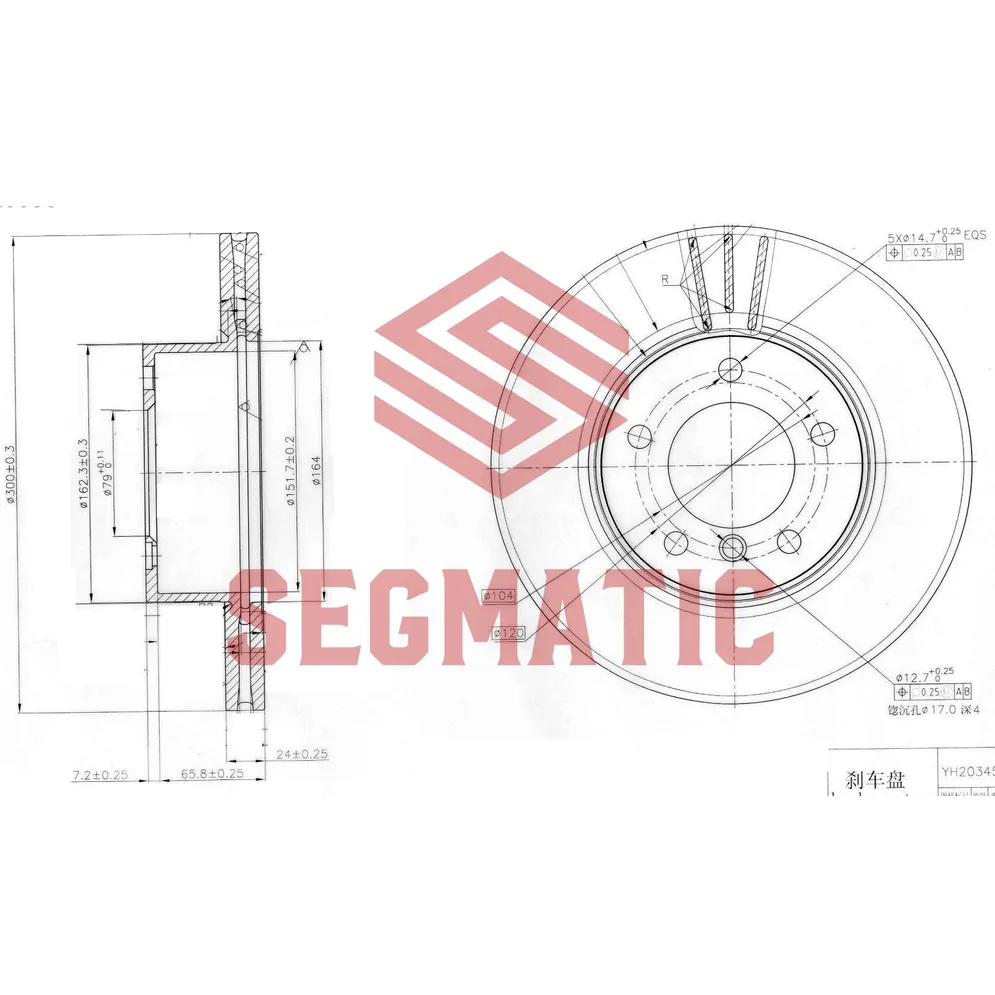 Диск тормозной передний BMW 3 (E90/E91) 05-> SEGMATIC SBD30093357