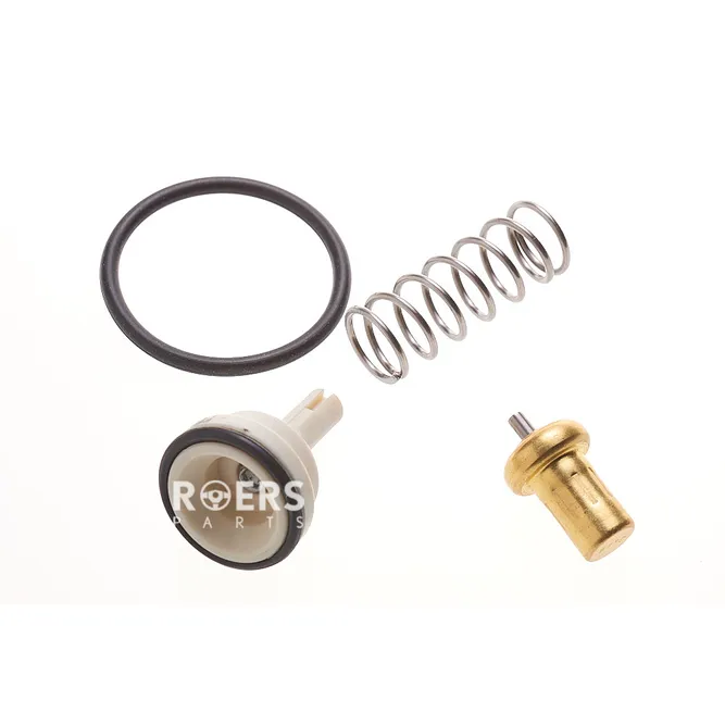 Термостат Roers Parts RP03C121110AA