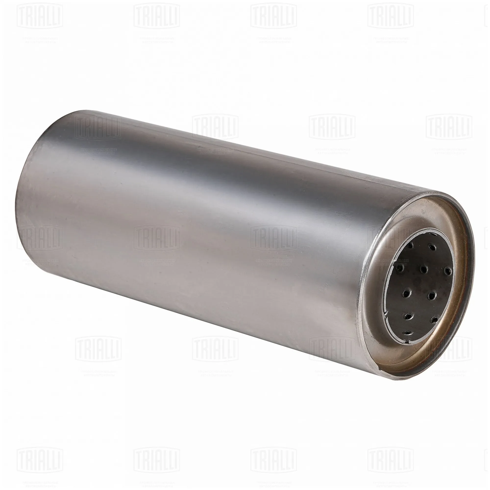 Пламегаситель универс. 100/250-55 (нерж. сталь) TRIALLI ESM 10025055p