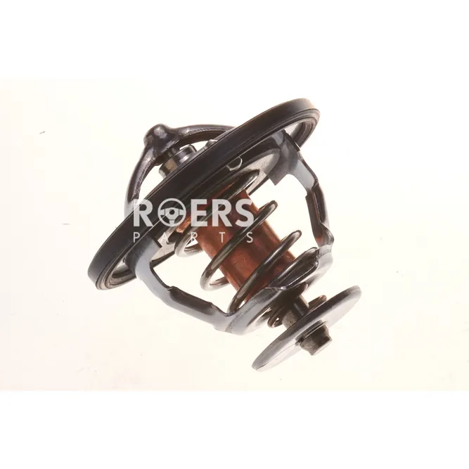 Термостат Roers Parts RP9091603093
