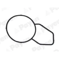 Прокладка, корпус термостата