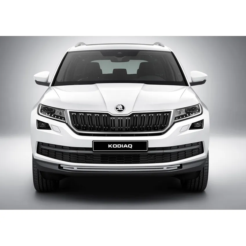 Решетка бампера d10 Rival Skoda Kodiaq I 2017-н.в., нерж. сталь, G.5101.001