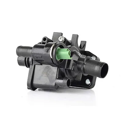 Термостат в корпусе F?ESTA /206/C2/C3/307/BIPPER 02- BSG BSG 30-126-009