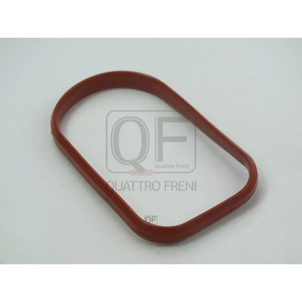 Прокладка впускного коллектора QUATTRO FRENI QF76A00191
