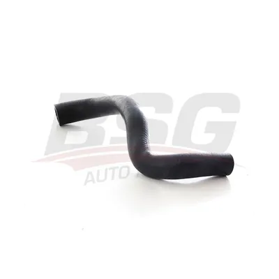 Шланг радиатора KANGOO II 08- BSG BSG 75-720-119