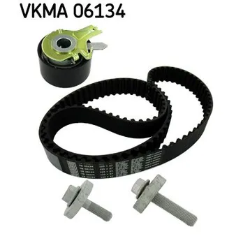 Ремкомплект ГРМ/ Renault Clio/Kangoo/Megane 1.5DCi SKF VKMA06134