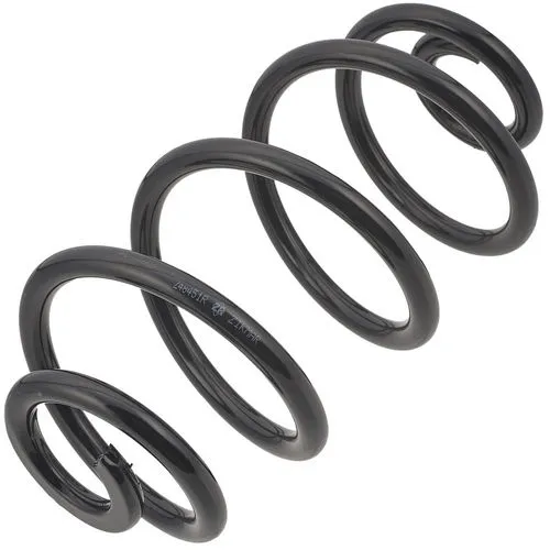 ПРУЖИНА ЗАДНЕЙ ПОДВЕСКИ AUDI A6, VW PASSAT, L270-D131-T12.5 ZIKMAR Z48451R