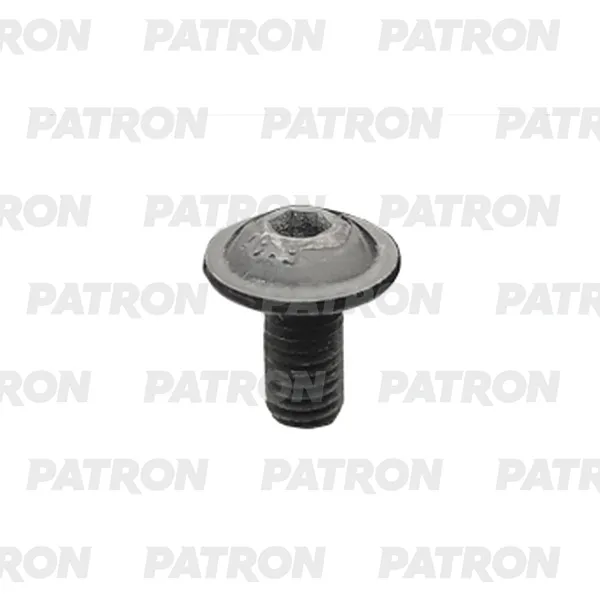 Болт металлический с внутренним шестигранником, черный M5X10 PATRON P37-3208T