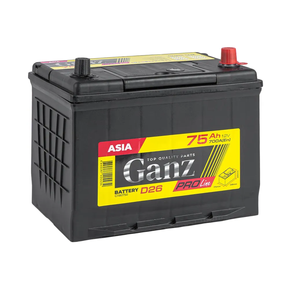 Аккумулятор GANZ PRO-Line JIS 75 А/ч обратный R+ 258x173x220 D26 EN 700 А