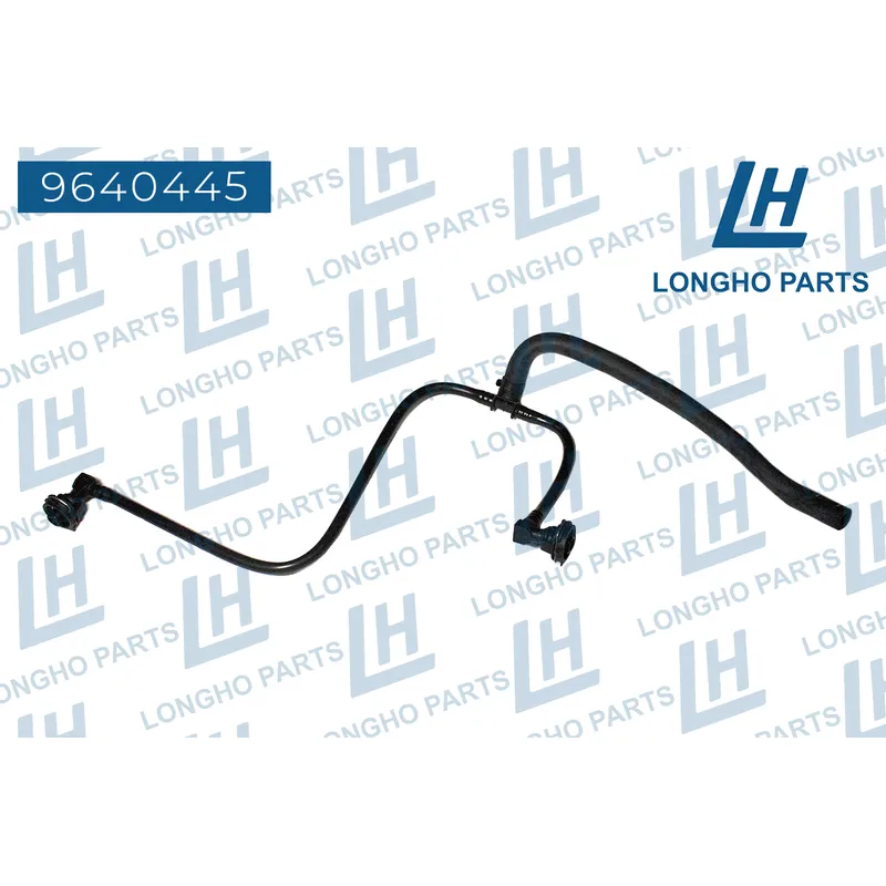ШЛАНГ ДЛЯ УДАЛЕНИЯ ВОЗДУХА LONGHO 9640445