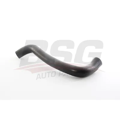 Шланг турбонагнетателя MOVANO 99- BSG BSG 65-720-096