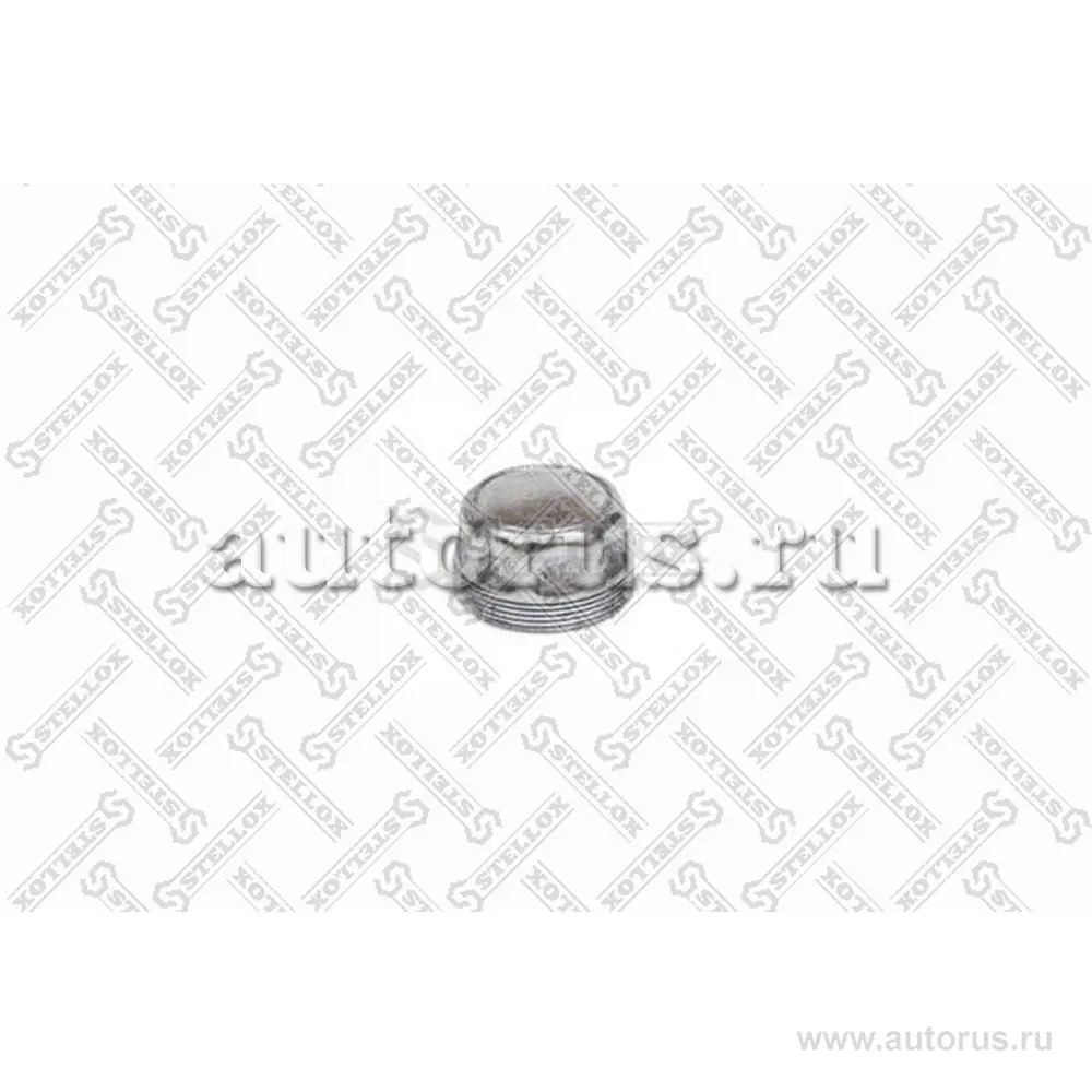 Крышка ступицы (м)M56x2 наружн SW50 H33 STELLOX 8300016_SX
