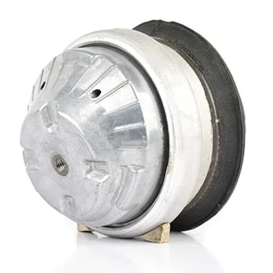 Опора двигателя W203-209 00-07 BSG BSG 60-700-148
