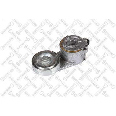 Натяжитель ремня в сбореOmn IVECO STELLOX 8167744_SX