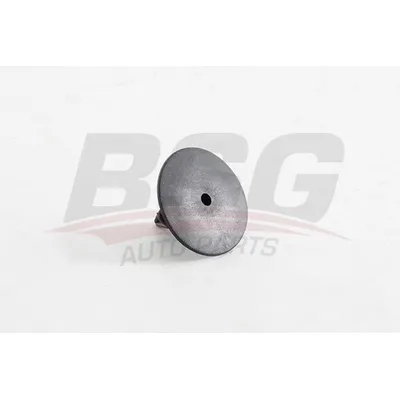 Клипсы облицовки внутренного колеса CL?O/KANGOO/MEGANE 00- BSG BSG 75-995-001