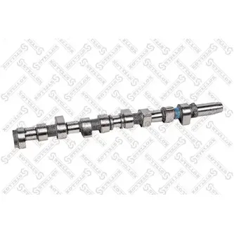 Распредвал ford focusc-maxgalaxytransit 1.8ditdci 98 STELLOX 10-10081-SX