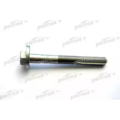Болт-эксцентрик развала задних колёс 24422973 GM \ OPEL: SIGNUM, V PATRON PBLT006