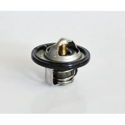 Термостат daewoo matiz 0.81.0 98 ASAM 30653