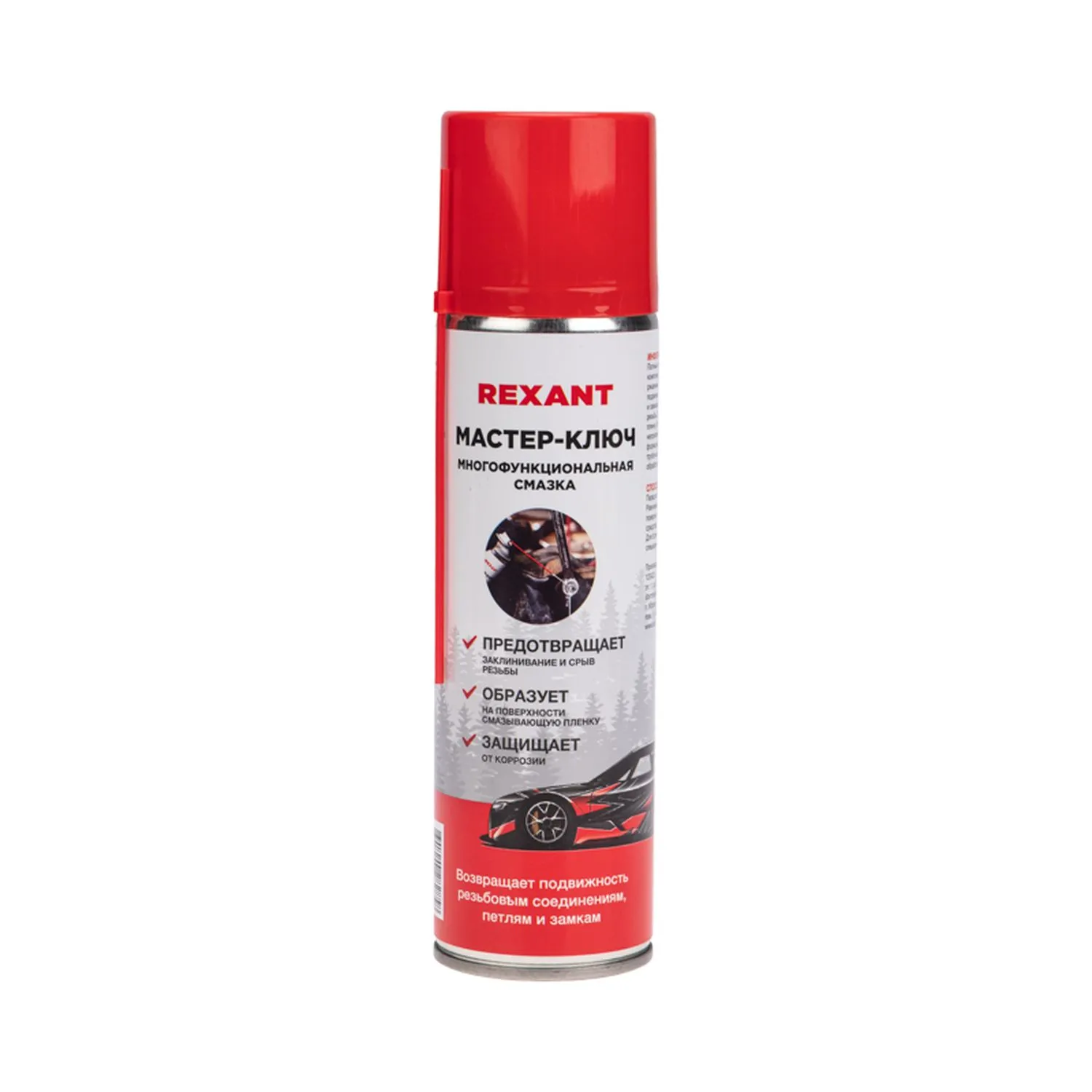 Мастер-ключ 335мл, аэрозоль REXANT 85-0053-2