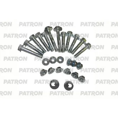 Комплект болтов подвески задней подвески Ford Focus I II III PATRON PBLT076