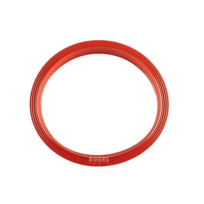 Уплотнительное кольцо бензонасоса Roers Parts RPM51SR001