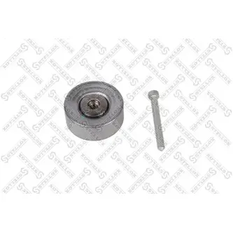 Ролик обводной Audi A4/A5/A6/A8/Q7 3.0TFSi 08> STELLOX 03-41050-SX
