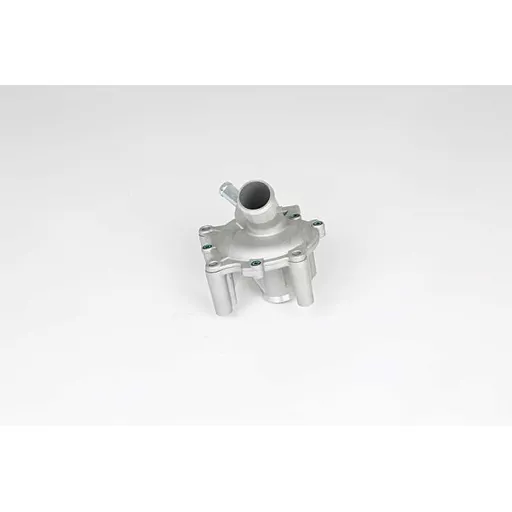 Водяная помпа MINI R52-R53 00-06 BSG BSG 15-500-029