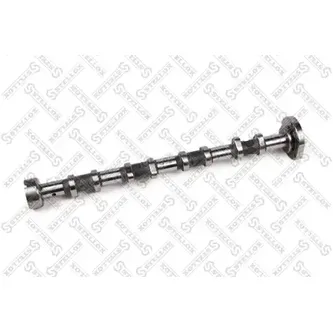 Распредвал впускной 1704531 Ford Transit 2.4TDCi 06> STELLOX 10-10096-SX