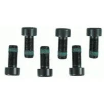 Комплект болтов маховика SACHS 1874000003