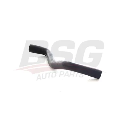 Шланг радиатора CLIO III/MODUS 04- BSG BSG 75-720-121