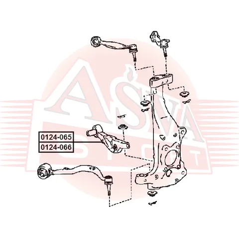 Рычаг передний нижний правый ASVA 0124066