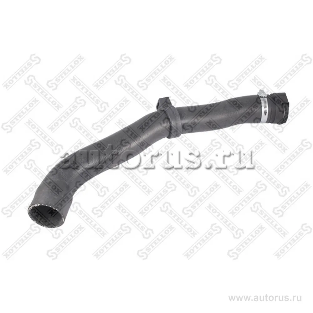 Патрубок радиатора Iveco STELLOX 8111231_SX