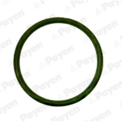 Прокладка коллектора впускного x4 citroen c2c3, peugeot 1007106206306307 1.4 94 PAYEN JD538