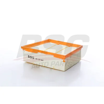 Фильтр воздушный FIESTA/ECOSPORT/COUR?ER 17- BSG BSG30137007